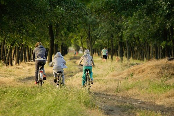 Jak zorganizować wycieczkę rowerową z dziećmi?